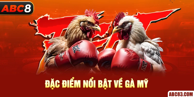 Đặc điểm nổi bật về gà mỹ